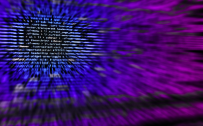 The Rise of Computer Crime